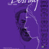 Destiny Poster Elsa Image Website