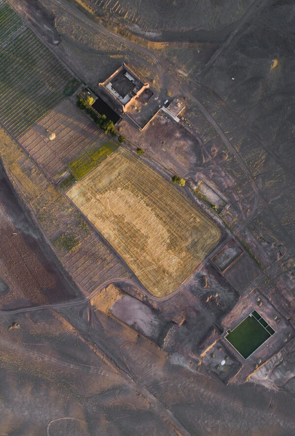 Surviving Fortress
