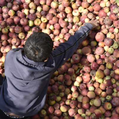 The Apple Day Production Pictures Elsa Image Website (2)