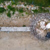 The Wingless Angel Feature Image Elsa Image Website (2)